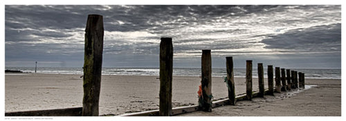 Post Row at Beach by Adrian Z Wall Art Décor 6 ½ x 18 ½ Art Print