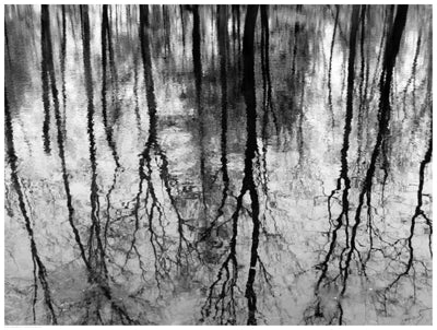 Reflected Pool by Anon Wall Art Décor 18 1/2 x 24 1/2 Art Print