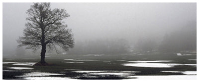 Awaiting Spring by Anon Wall Art Décor 8 1/2 x 20 1/2 Art Print