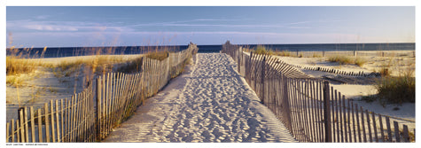 Sand Trail by Anon Wall Art Décor 7 x 19 Art Print