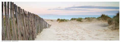 Sand Fence, Early Morning by Anon Wall Art Décor 7 x 19 Art Print