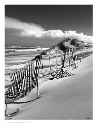 Fences by Eve Turek Wall Art Décor 11 x 14 Art Print