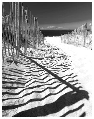 Shadowed Pathway by Anon Wall Art Décor 14 1/2 x 11 1/2 Art Print