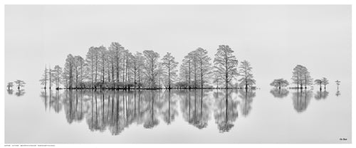 Meditation in the Mist by Eve Turek Wall Art Décor 8 ½ x 20 ½ Art Print