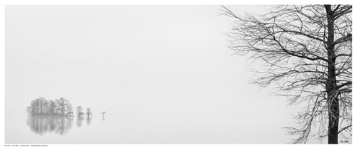 Vision Quest by Eve Turek Wall Art Décor 8 ½ x 20 ½ Art Print