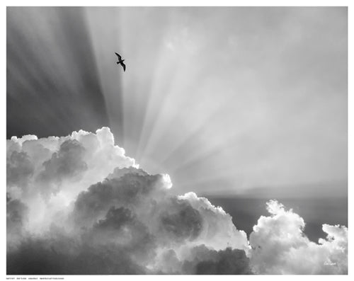Heavenly by Eve Turek Wall Art Décor 11 ½ x 14 ½ Art Print