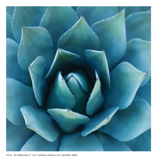 Southwest Beauty by C. Hennigan Wall Art Décor 6 ½ x 6 ½ Art Print