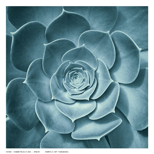 Symmetrical Flora by Spiler Wall Art Décor 6 ½ x 6 ½ Art Print