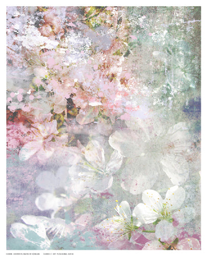 Cherry Flowers by Hoskari Wall Art Décor 10 ½ x 8 ½ Art Print