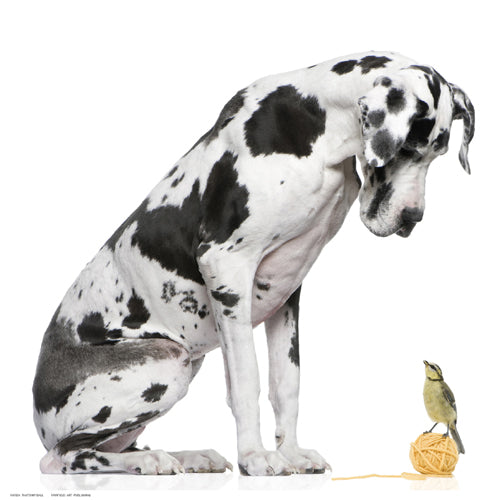 That’s My Ball by Anon Wall Art Décor 12 ½ x 12 ½ Art Print