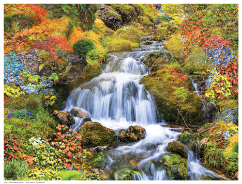 Country Stream in Bloom by Anon Wall Art Décor 12 ½ x 16 ½ Art Print