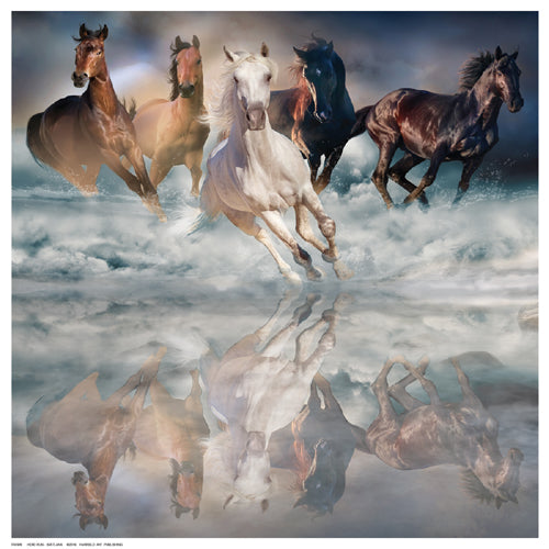 Herd Run by Svetlana Wall Art Décor 12 ½ x 12 ½ Art Print