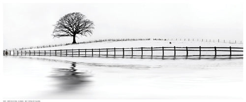 Winter Oak in a Field by N. Barbone Wall Art Décor 8 ½ x 20 ½ Art Print