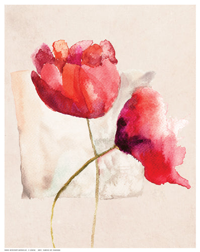 Retro Poppy Watercolor by R. Jersova Wall Art Décor 14 ½ x 11 ½ Art Print