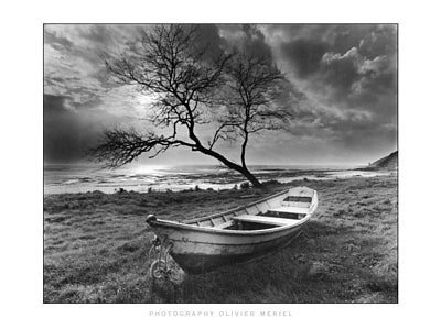 Doris sur la Falaise, Saint-Jean-le-Thomas by Olivier Meriel Wall Art Décor 15 ¾ x 19 ¾ Art Print