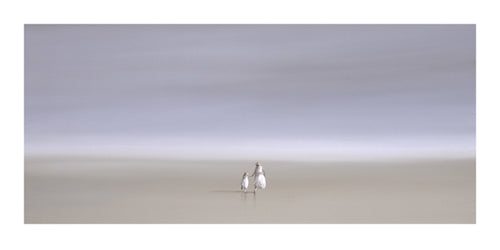 Two for Tea by Steve Johnston Wall Art Décor 19 3/4 x 39 1/2 Art Print