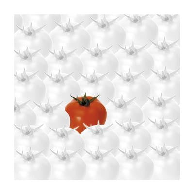 Tomatoes by Johannes Weber Wall Art Décor 11 3/4 x 11 3/4 Art Print