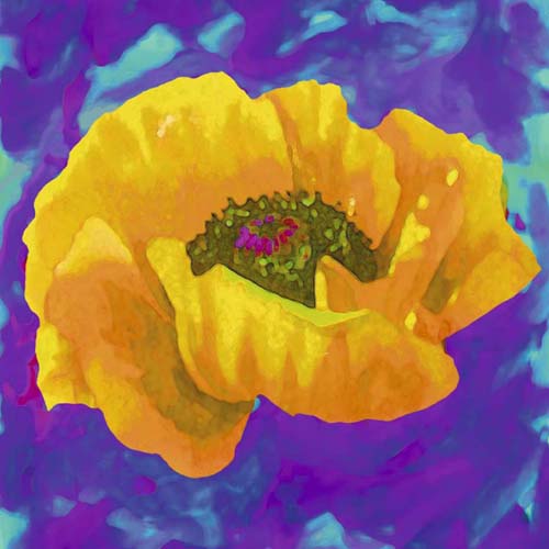 Yellow Poppy Art Print by Yvonne Dulac | Modern Floral Wall Décor 11.75 x 11.75
