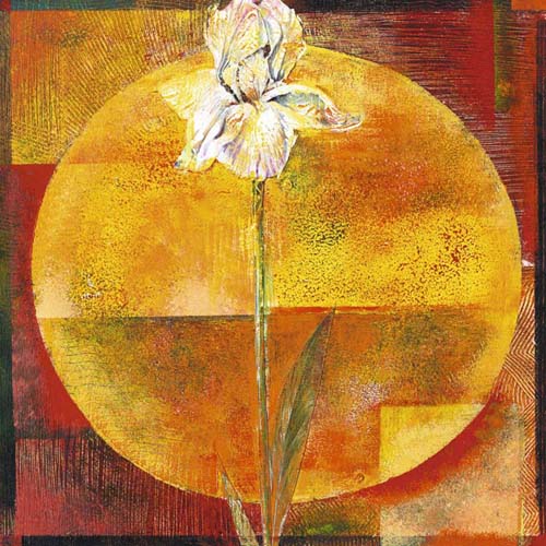 White Iris Art Print by Yvonne Dulac | Floral Wall Decor 11.75 x 11.75