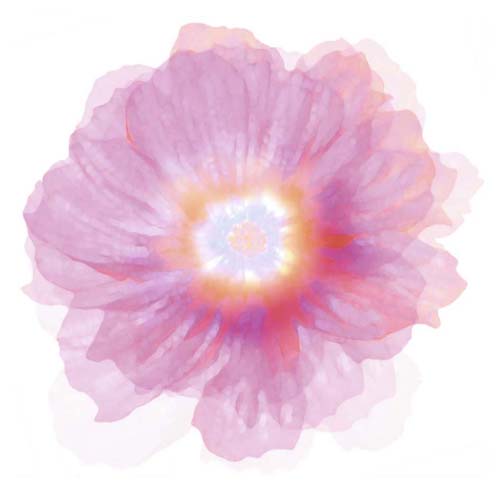 Fleur Rose by Robin - Elegant Floral Art Print | 11.75 x 11.75 Wall Décor