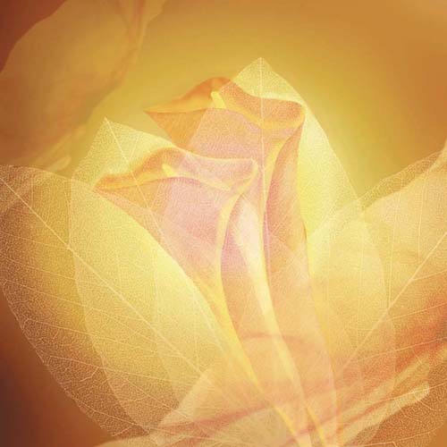 Transparence IV by Robin - Modern Abstract Wall Art Print | 11.75 x 11.75 " Décor
