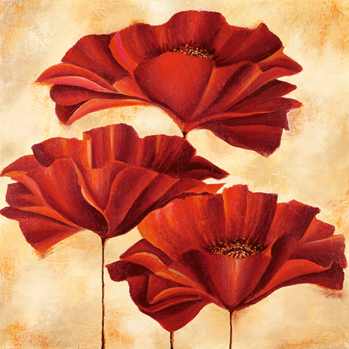 Three Poppies II by Nicola Rabbett - Floral Art Print for Home Decor | Buy Now