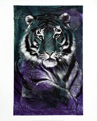 Young Tiger Art Print by Rolf Knie - Modern Wildlife Wall Decor 19.75x24.75