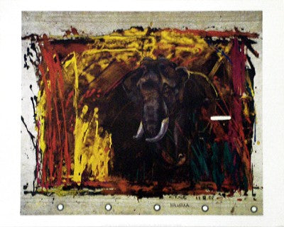 Out of the Jungle Art Print by Rolf Knie - Vibrant Wildlife Wall Decor
