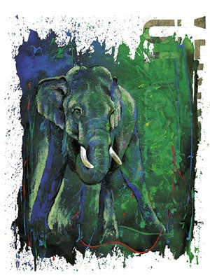 Born to Run by Rolf Knie - Dynamic Wall Art Print 19.5 x 27.5 inches