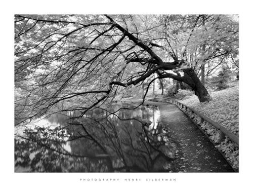 Japanese Garden by Henri Silberman - Tranquil Zen Wall Art Print
