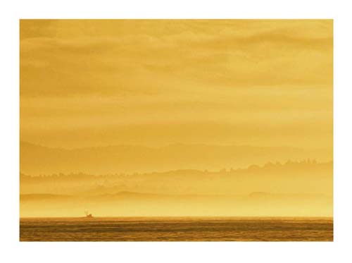 Monterey Bay, California by Hank Gans Wall Art Décor 23 1/2 x 31 1/2 Art Print
