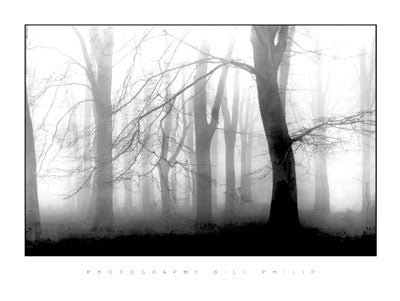 Misty Morning by Bill Philip Wall Art Décor 23 1/2 x 31 1/2 Art Print