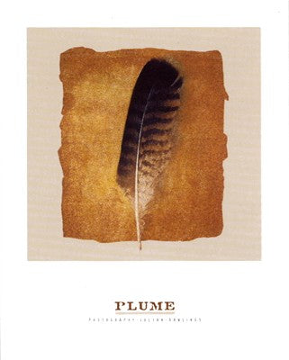 Plume by Julyan Rawlings Wall Art Décor 11 3/4 x 9 1/2 Art Print
