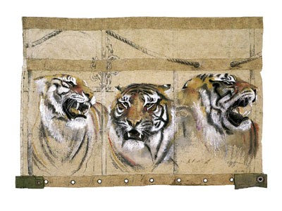Circus Tiger by Rolf Knie Wall Art Décor 9 1/2 x 11 3/4 Art Print