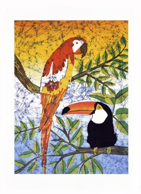 Tucan & Parrots by Pablo Mendes Wall Art Décor 11 3/4 x 9 1/2 Art Print