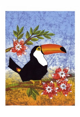 Tucan with Flower by Pablo Mendes Wall Art Décor 11 3/4 x 9 1/2 Art Print