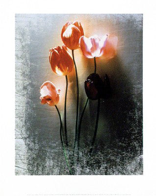 Five Tulips by Shoji Yoshida Wall Art Décor 11 3/4 x 9 1/2 Art Print