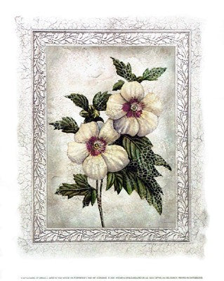 Flowers of Spring I by Tom Wood Wall Art Décor 11 3/4 x 9 1/2 Art Print