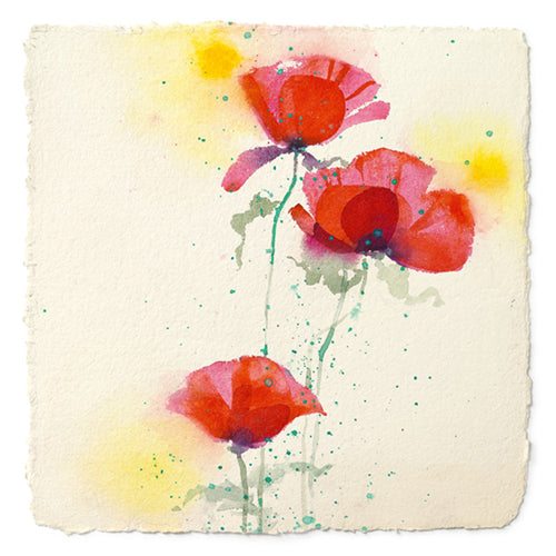 Papaveri II by Andrea Fontana Wall Art Décor 27 1/2 x 27 1/2 Art Print