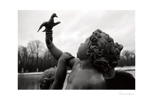 Cherub II by Donna Cameron Wall Art Décor 9 ¼ x 13 Art Print