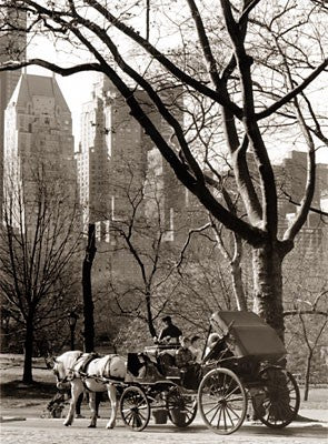 Central Park / Carriage by Igor Maloratsky Wall Art Décor 19 x 13 Art Print