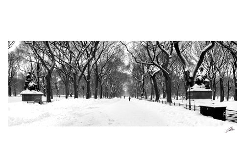 Central Park, Poet's Lane by Igor Maloratsky Wall Art Décor 13 x 19 Art Print