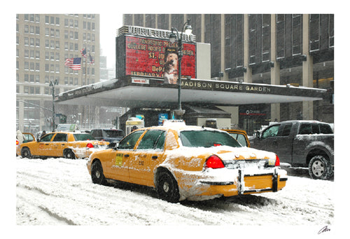 Madison Square Garden by Igor Maloratsky Wall Art Décor 13 x 19 Art Print