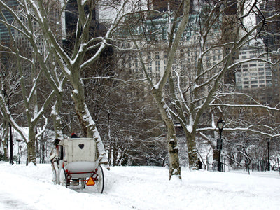 Carriage Snow, Central Park by Igor Maloratsky Wall Art Décor 13 x 19 Art Print