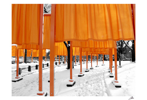Looking Through the Gates, Central Park by Igor Maloratsky Wall Art Décor