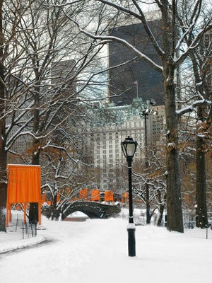 The Gates & Love Bridge, Central Park by Igor Maloratsky Wall Art Décor 19 x 13 Art Print