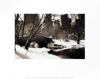 Central Park, Bridge by Igor Maloratsky Wall Art Décor 8 x 10 Art Print
