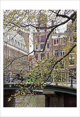 Spring in Amsterdam by Igor Maloratsky Wall Art Décor 19 x 13 Art Print