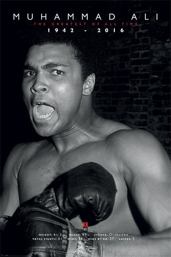 Muhammad Ali: The Greatest of All Time Commemorative by Anon Wall Art Décor 36 x 24 Art Print