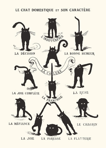 Le Chat Domestique by Anon Wall Art Décor 14 x 11 Art Print